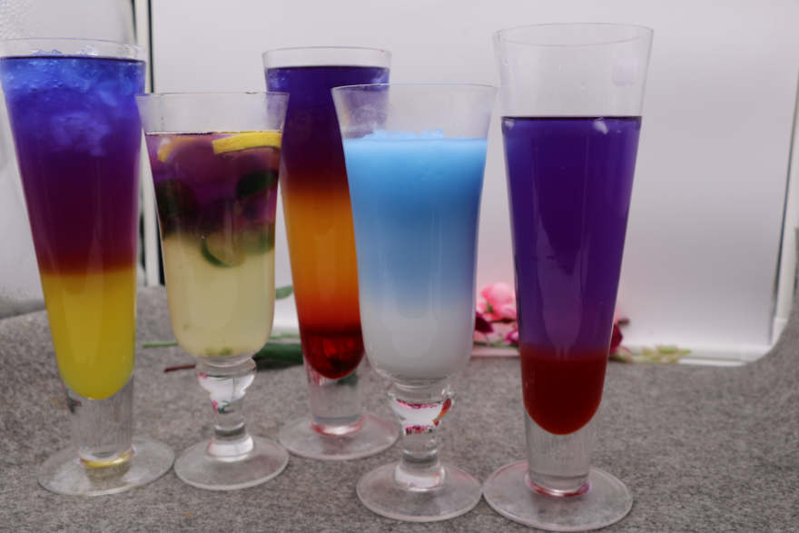 上海泰国蝶豆花培训